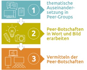 anforderungen peer projekt 